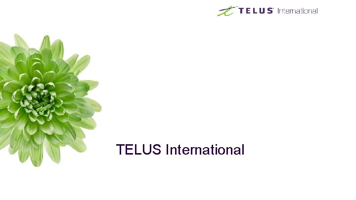TELUS International TELUS International