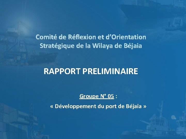 Comité de Réflexion et d’Orientation Stratégique de la Wilaya de Béjaia RAPPORT PRELIMINAIRE Groupe