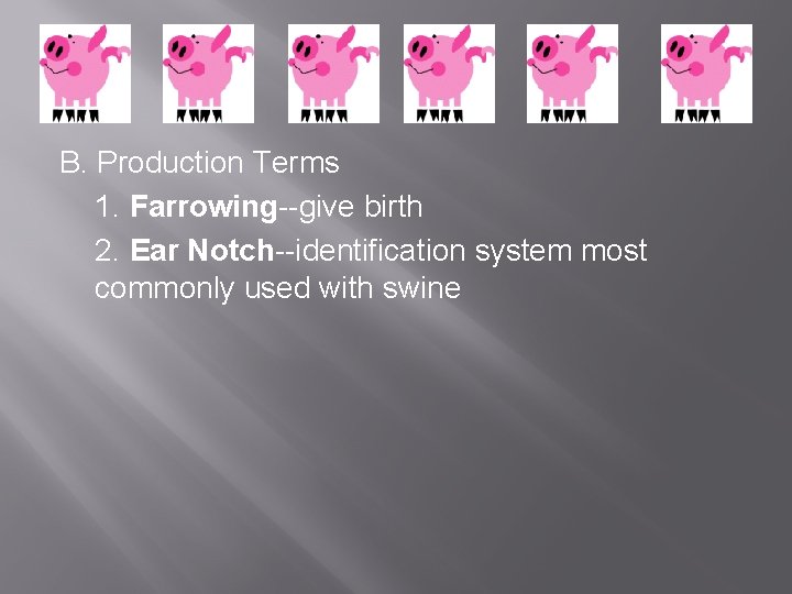 B. Production Terms 1. Farrowing--give birth 2. Ear Notch--identification system most commonly used with