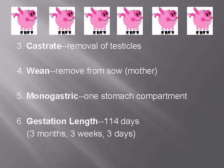 3. Castrate--removal of testicles 4. Wean--remove from sow (mother) 5. Monogastric--one stomach compartment 6.