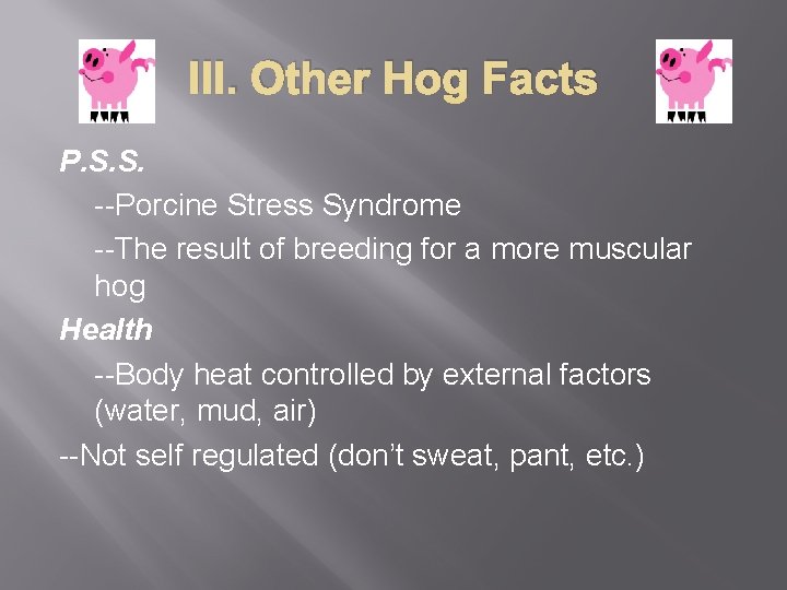 III. Other Hog Facts P. S. S. --Porcine Stress Syndrome --The result of breeding