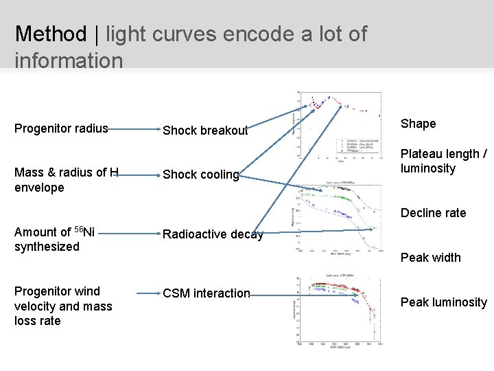 The Flavours of SN II Light Curves Iair