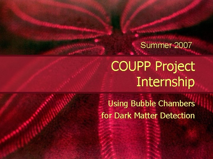 Summer 2007 COUPP Project Internship Using Bubble Chambers for Dark Matter Detection 