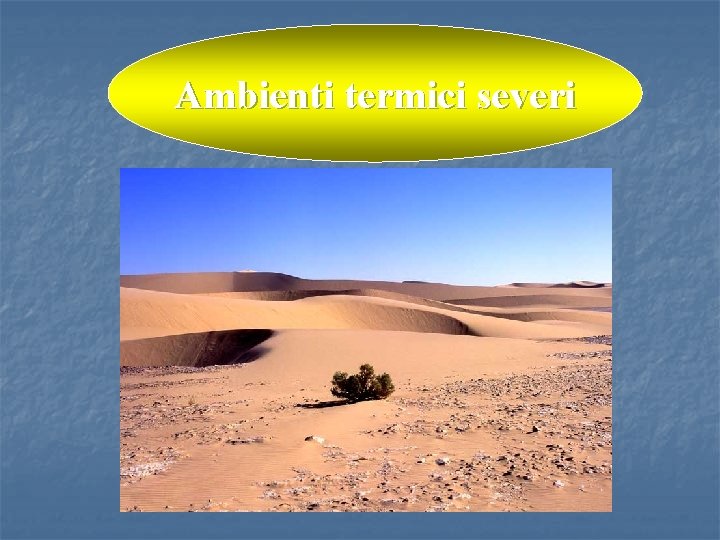 Ambienti termici severi 