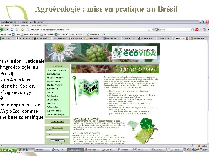 Agroécologie : mise en pratique au Brésil Ariculation Nationale d’Agroécologie au (Brésil) Latin American
