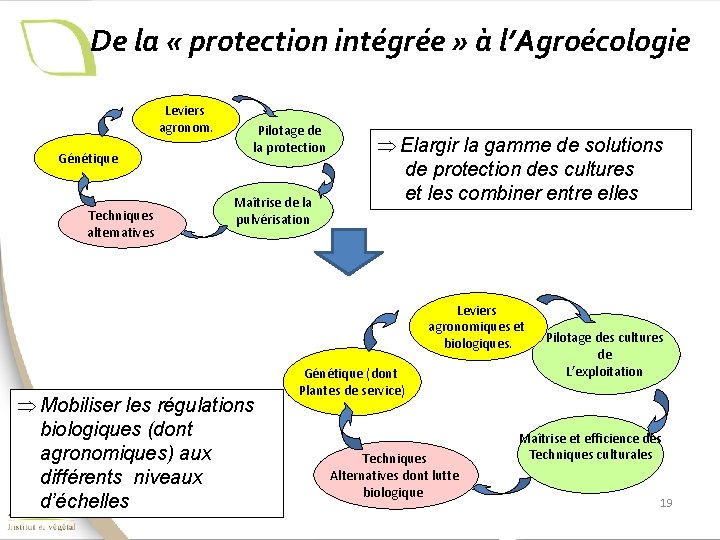  De la « protection intégrée » à l’Agroécologie Leviers agronom. Génétique Techniques alternatives