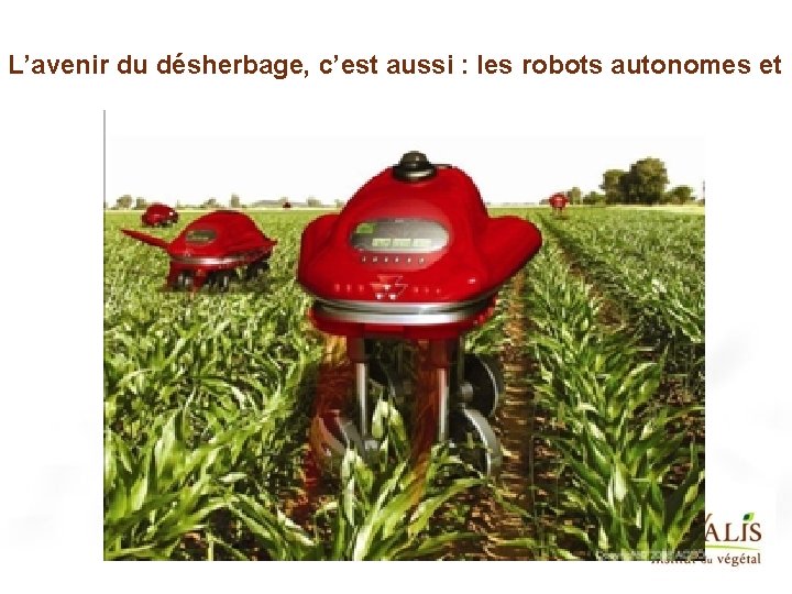 L’avenir du désherbage, c’est aussi : les robots autonomes et i 