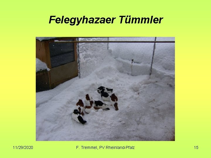 Felegyhazaer Tümmler 11/29/2020 F. Tremmel, PV Rheinland-Pfalz 15 