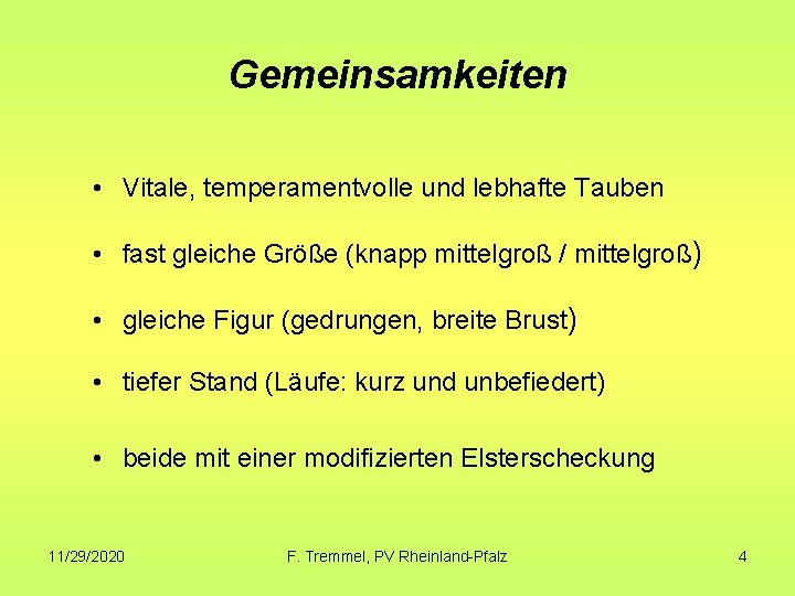 Gemeinsamkeiten • Vitale, temperamentvolle und lebhafte Tauben • fast gleiche Größe (knapp mittelgroß /