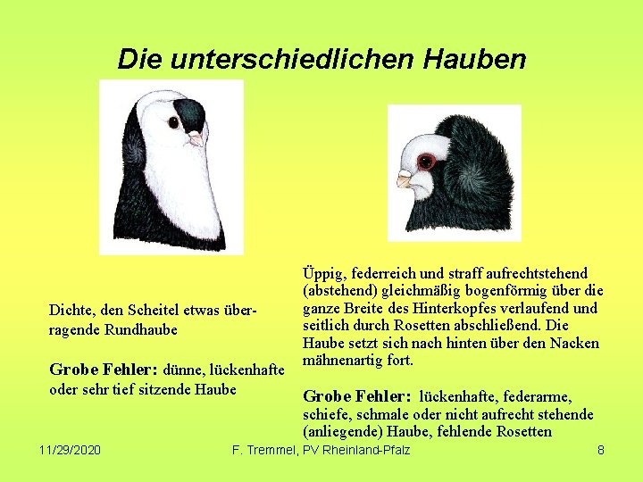 Die unterschiedlichen Hauben Dichte, den Scheitel etwas überragende Rundhaube Grobe Fehler: dünne, lückenhafte oder