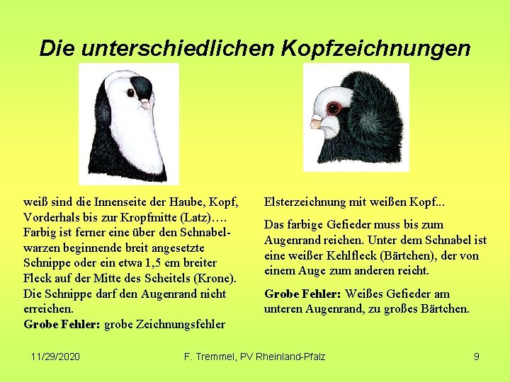 Die unterschiedlichen Kopfzeichnungen weiß sind die Innenseite der Haube, Kopf, Vorderhals bis zur Kropfmitte