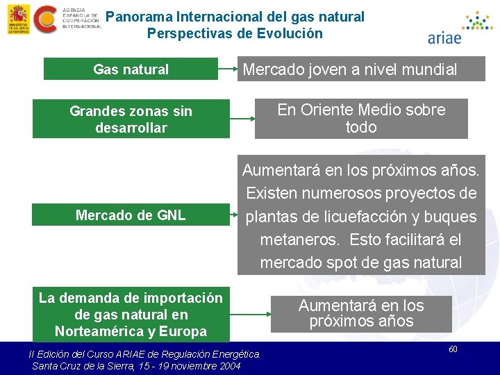 Panorama Internacional del gas natural Perspectivas de Evolución Gas natural Mercado joven a nivel