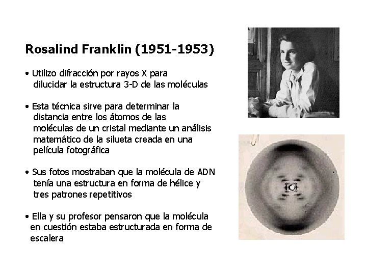 Rosalind Franklin (1951 -1953) • Utilizo difracción por rayos X para dilucidar la estructura