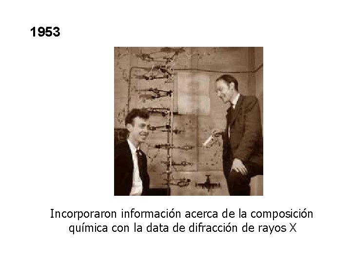 1953 Incorporaron información acerca de la composición química con la data de difracción de