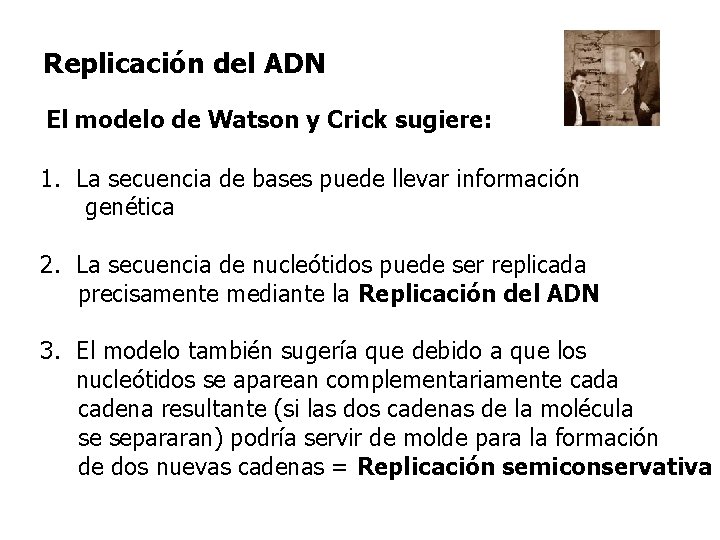 Replicación del ADN El modelo de Watson y Crick sugiere: 1. La secuencia de