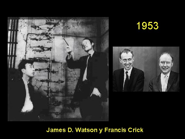 1953 James D. Watson y Francis Crick 