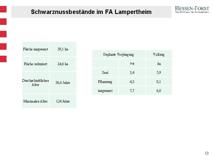 Schwarznussbestände im FA Lampertheim Fläche insgesamt 39, 1 ha Geplante Verjüngung Fläche reduziert Durchschnittliches