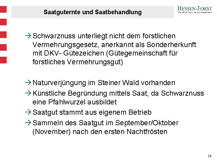 Saatguternte und Saatbehandlung à Schwarznuss unterliegt nicht dem forstlichen Vermehrungsgesetz, anerkannt als Sonderherkunft mit Saatguternte und Saatbehandlung à Schwarznuss unterliegt nicht dem forstlichen Vermehrungsgesetz, anerkannt als Sonderherkunft mit