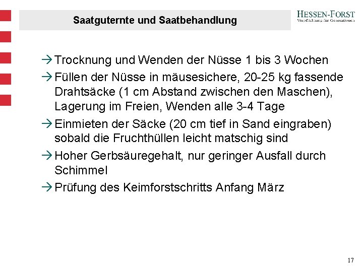 Saatguternte und Saatbehandlung à Trocknung und Wenden der Nüsse 1 bis 3 Wochen à Saatguternte und Saatbehandlung à Trocknung und Wenden der Nüsse 1 bis 3 Wochen à