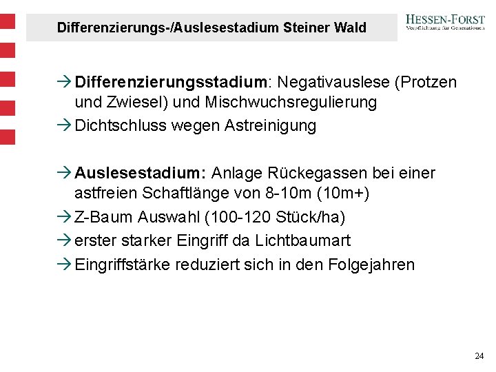 Differenzierungs-/Auslesestadium Steiner Wald à Differenzierungsstadium: Negativauslese (Protzen und Zwiesel) und Mischwuchsregulierung à Dichtschluss wegen