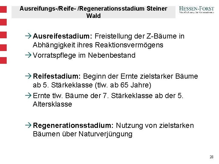Ausreifungs-/Reife- /Regenerationsstadium Steiner Wald à Ausreifestadium: Freistellung der Z-Bäume in Abhängigkeit ihres Reaktionsvermögens à Ausreifungs-/Reife- /Regenerationsstadium Steiner Wald à Ausreifestadium: Freistellung der Z-Bäume in Abhängigkeit ihres Reaktionsvermögens à