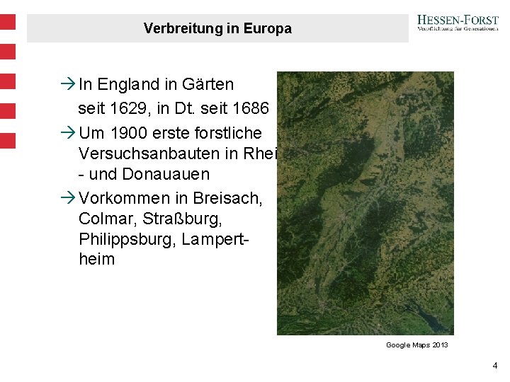 Verbreitung in Europa à In England in Gärten seit 1629, in Dt. seit 1686