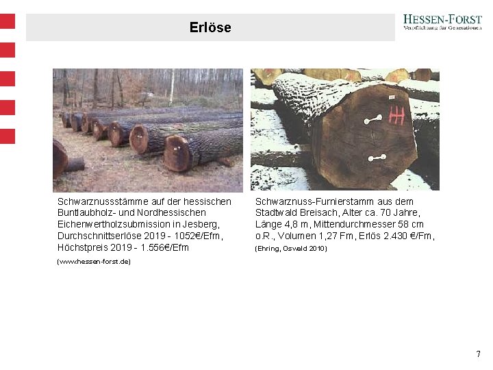 Erlöse Schwarznussstämme auf der hessischen Buntlaubholz- und Nordhessischen Eichenwertholzsubmission in Jesberg, Durchschnittserlöse 2019 - Erlöse Schwarznussstämme auf der hessischen Buntlaubholz- und Nordhessischen Eichenwertholzsubmission in Jesberg, Durchschnittserlöse 2019 -