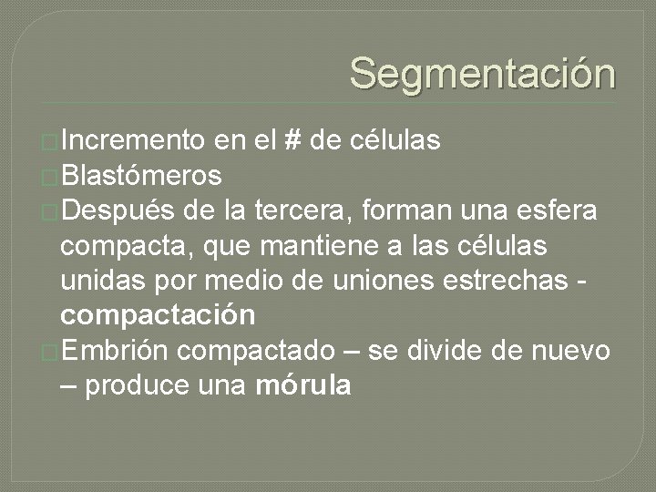 Segmentación �Incremento en el # de células �Blastómeros �Después de la tercera, forman una