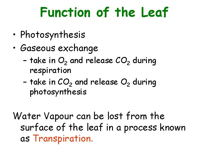 Function of the Leaf • Photosynthesis • Gaseous exchange – take in O 2