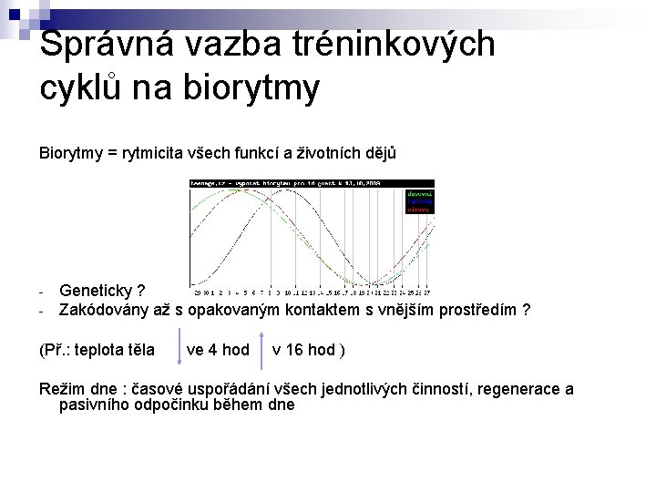 Správná vazba tréninkových cyklů na biorytmy Biorytmy = rytmicita všech funkcí a životních dějů