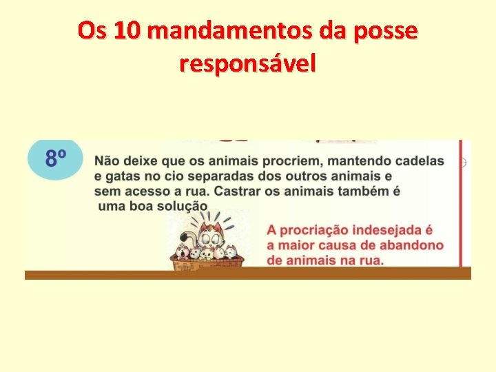 Os 10 mandamentos da posse responsável 