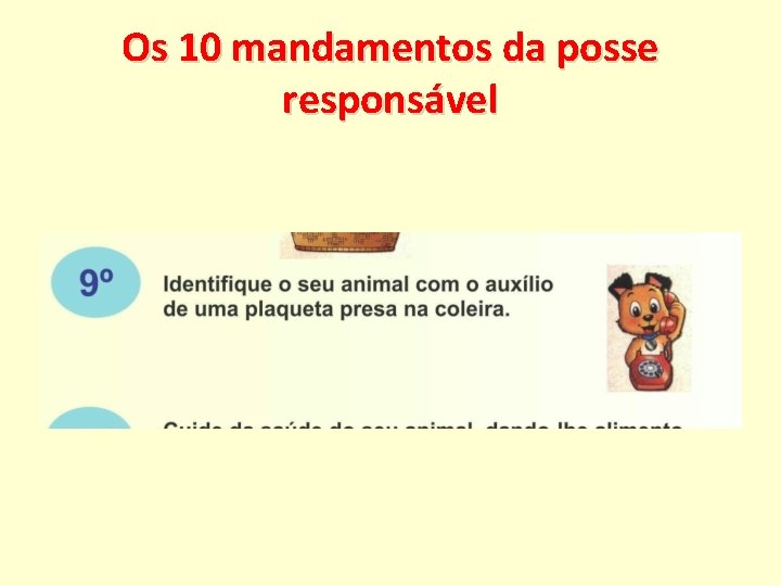 Os 10 mandamentos da posse responsável 