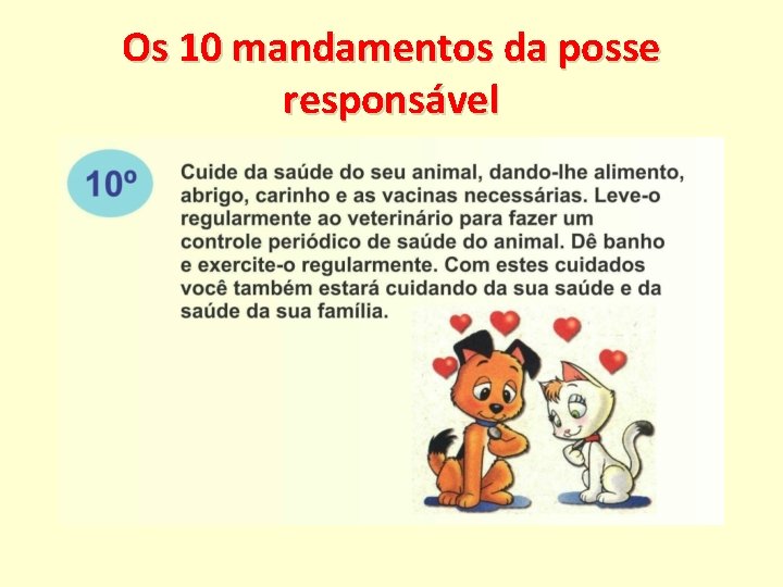 Os 10 mandamentos da posse responsável 