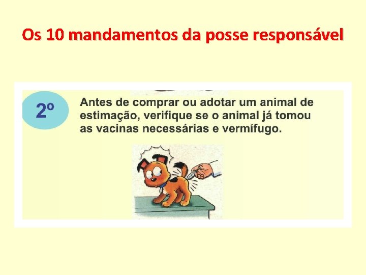 Os 10 mandamentos da posse responsável 