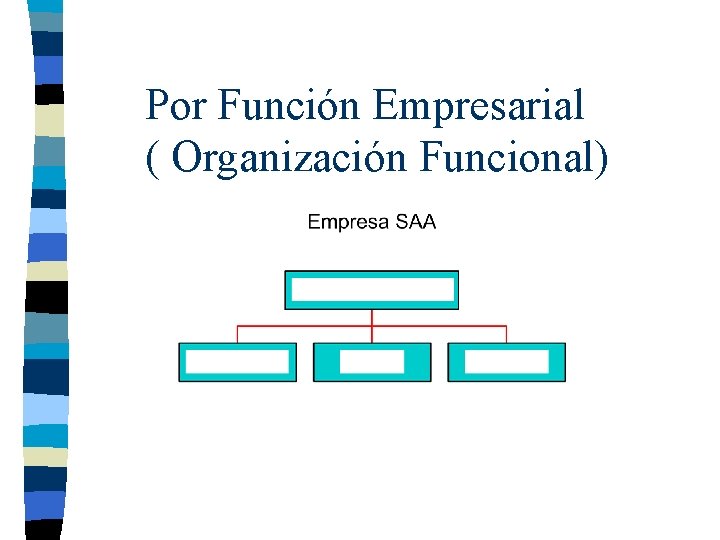 Por Función Empresarial ( Organización Funcional) 