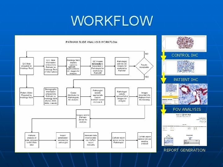 WORKFLOW CONTROL IHC PATIENT IHC FOV ANALYSIS REPORT GENERATION 