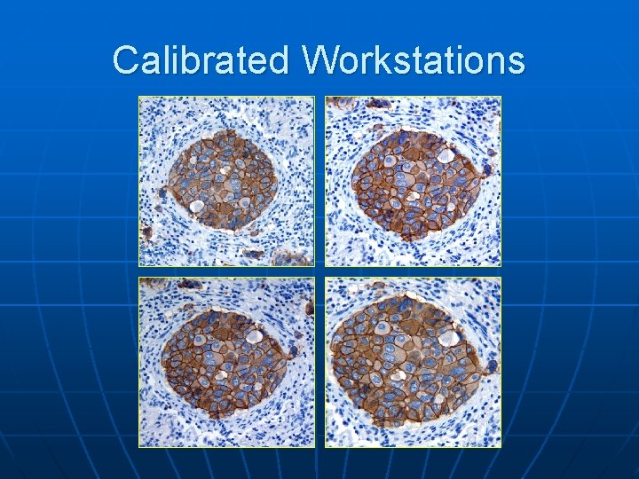 Calibrated Workstations 