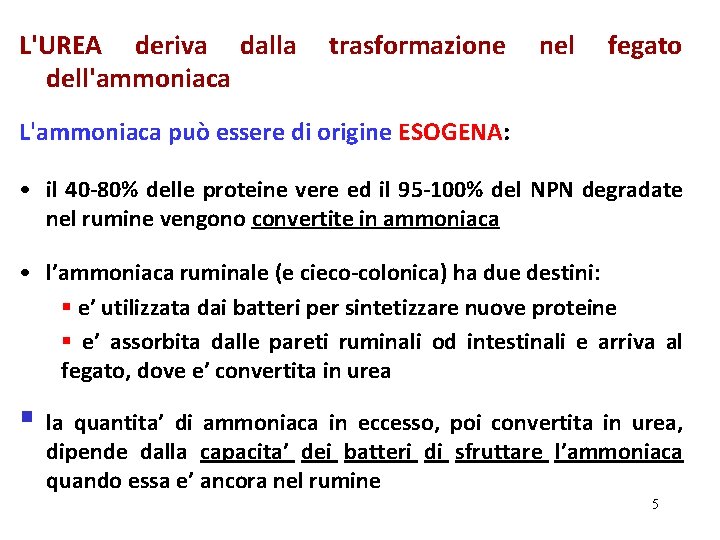 L'UREA deriva dalla trasformazione nel fegato dell'ammoniaca L'ammoniaca può essere di origine ESOGENA: •