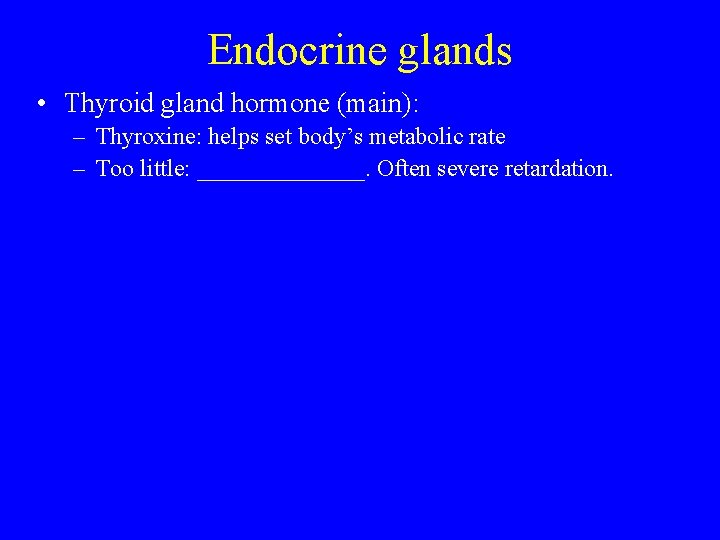 Endocrine glands • Thyroid gland hormone (main): – Thyroxine: helps set body’s metabolic rate