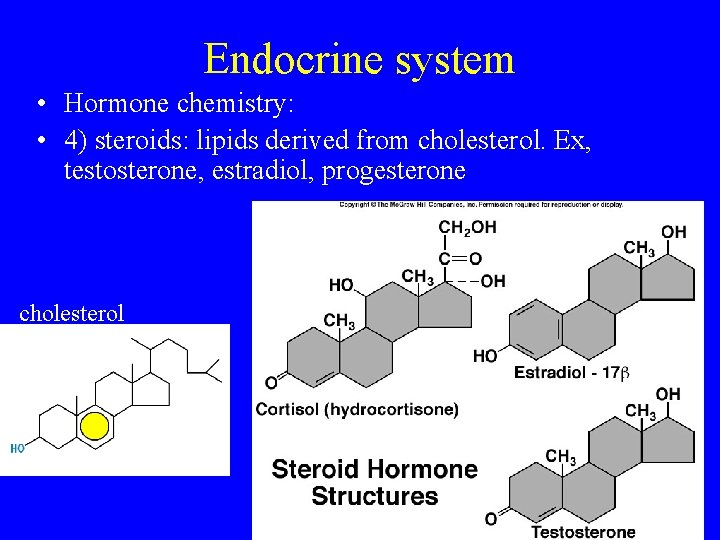 Endocrine system • Hormone chemistry: • 4) steroids: lipids derived from cholesterol. Ex, testosterone,