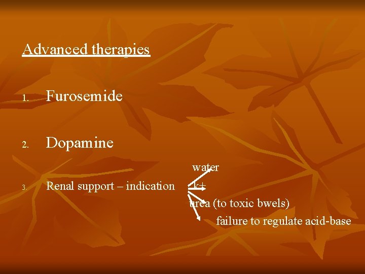 Advanced therapies 1. Furosemide 2. Dopamine 3. Renal support – indication water k+ urea