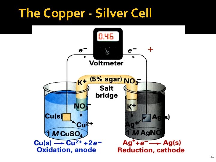 The Copper - Silver Cell 21 