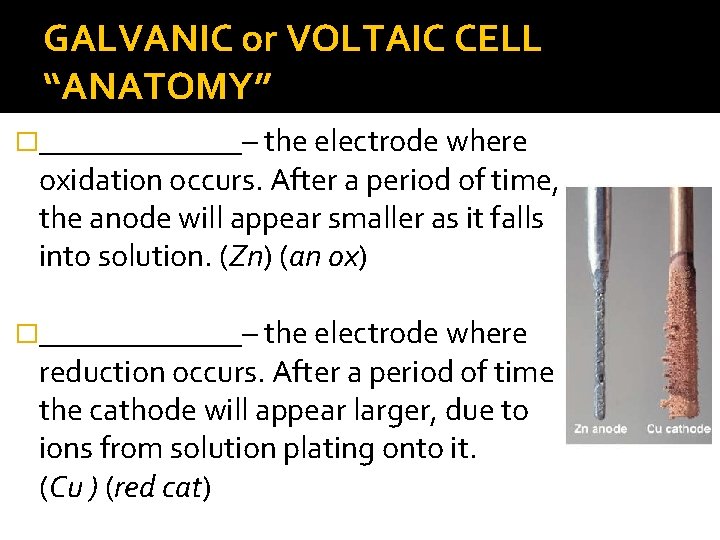 GALVANIC or VOLTAIC CELL “ANATOMY” �_______– the electrode where oxidation occurs. After a period