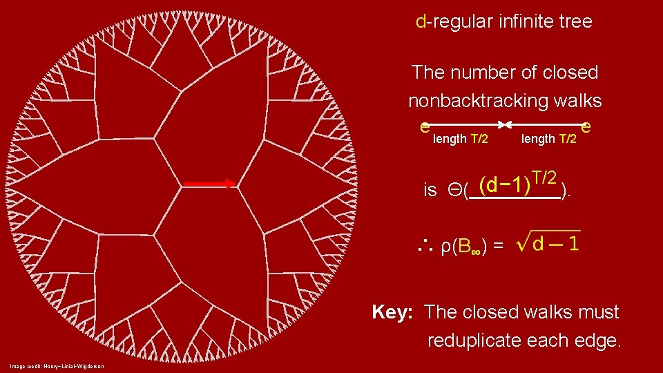 d-regular infinite tree The number of closed nonbacktracking walks e e length T/2 T/2