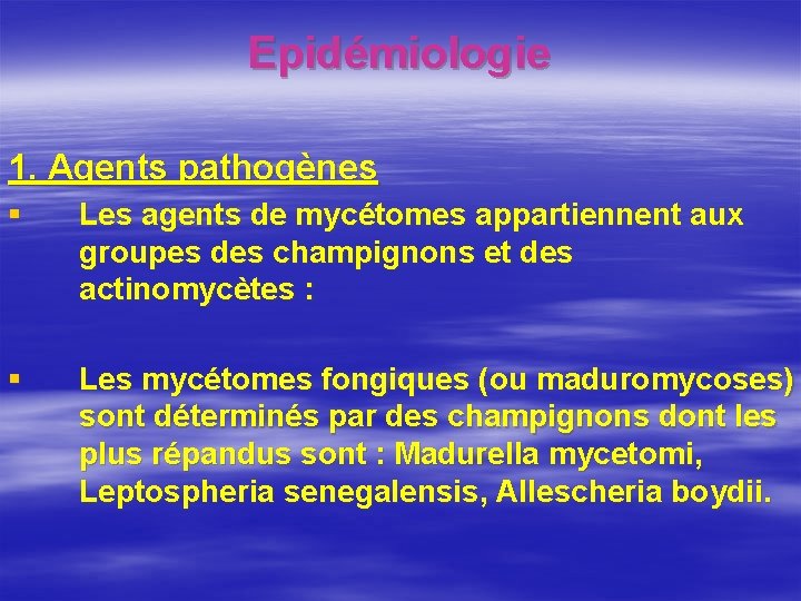 Epidémiologie 1. Agents pathogènes § Les agents de mycétomes appartiennent aux groupes des champignons