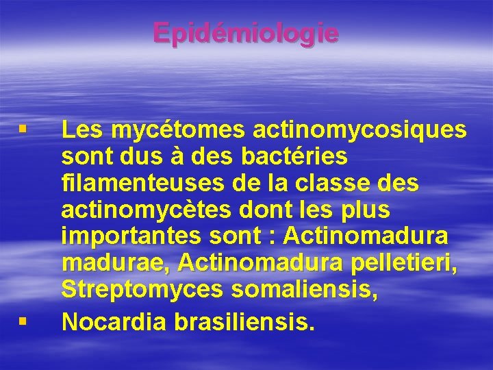 Epidémiologie § § Les mycétomes actinomycosiques sont dus à des bactéries filamenteuses de la