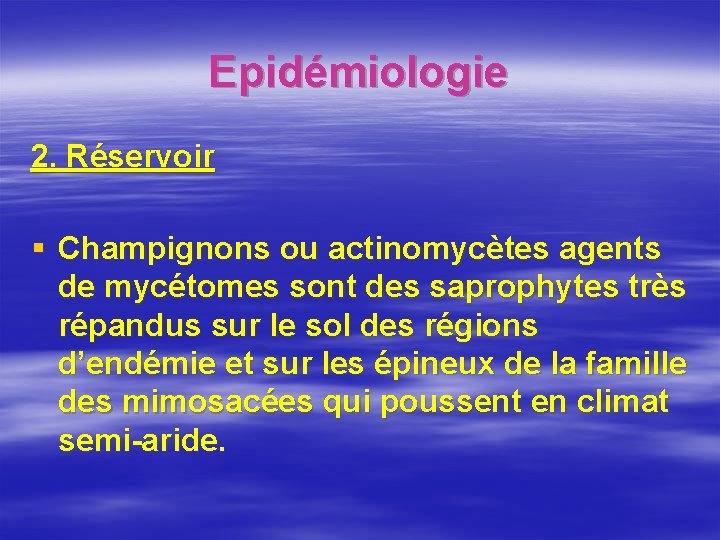 Epidémiologie 2. Réservoir § Champignons ou actinomycètes agents de mycétomes sont des saprophytes très