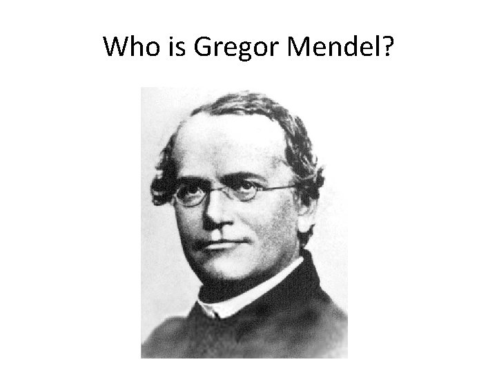 Who is Gregor Mendel? 