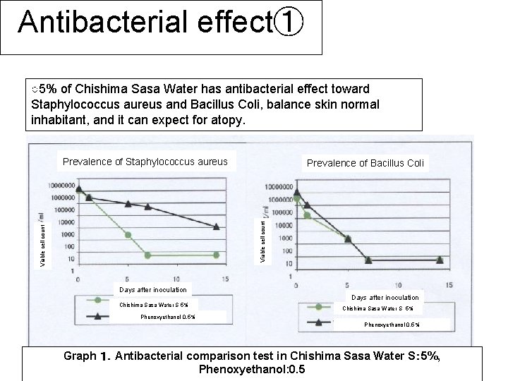 Antibacterial effect① ○5% of Chishima Sasa Water has antibacterial effect toward Staphylococcus aureus and