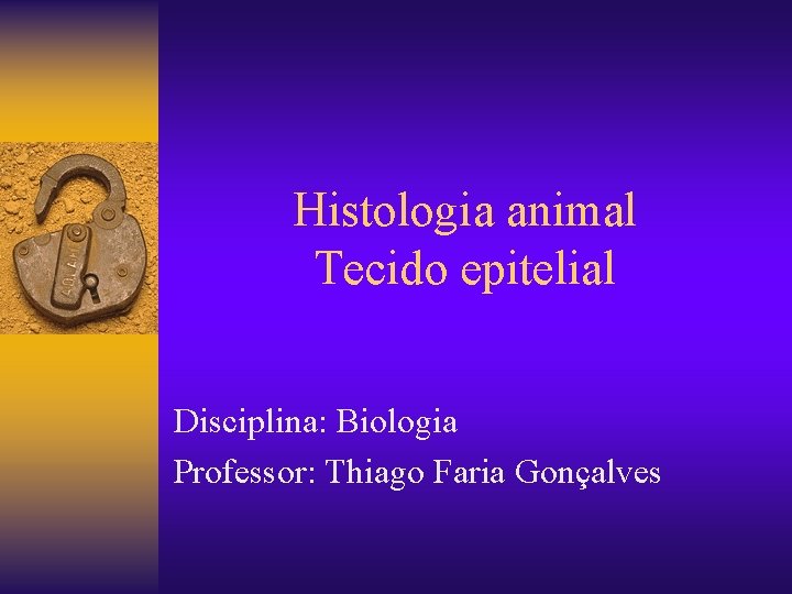 Histologia animal Tecido epitelial Disciplina: Biologia Professor: Thiago Faria Gonçalves 